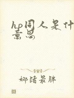 hp同人是什么意思