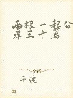 两根一起公憩止痒三十篇