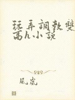 玩弄调教双胞胎高h小说