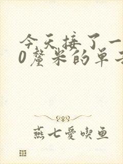 今天接了一个30厘米的单子