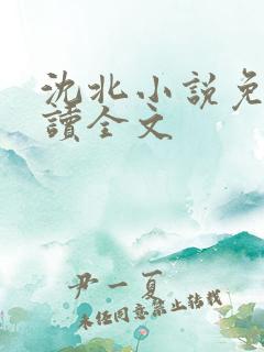 沈北小说免费阅读全文