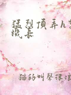 猛烈顶弄h禁欲机长