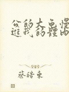 公的大龟慢慢挺进我的体内