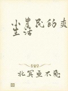 小农民的爽歪歪生活