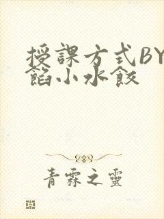 授课方式BY肉馅小水饺