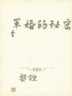 军婚的秘密txt