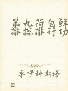 第九荷包鲜辣肉排总排行功能介绍