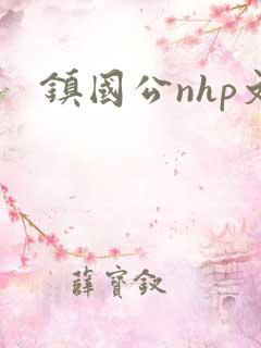 镇国公nhp文