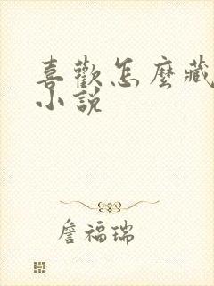 喜欢怎么藏不住小说