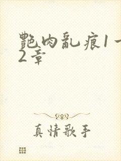 艳肉乱痕1一12章