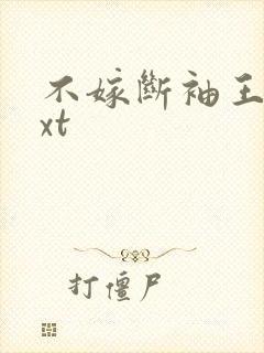 不嫁断袖王爷txt