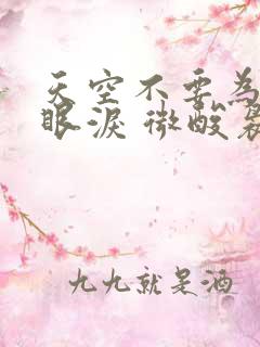 天空不要为我掉眼泪 微酸袅袅