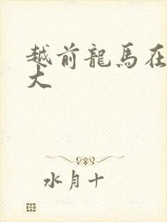 越前龙马在立海大