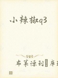小辣椒q3