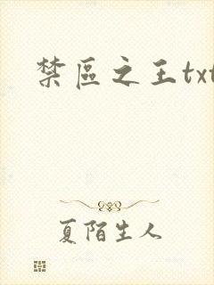 禁区之王txt