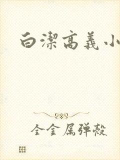 白洁高义小说