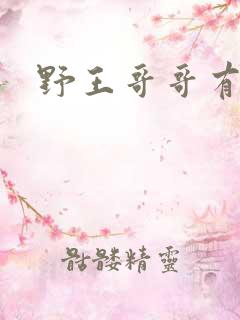 野王哥哥有点甜