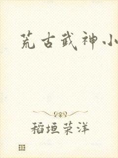 荒古武神小说