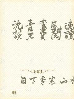 沈青鸾风璃宸小说免费阅读