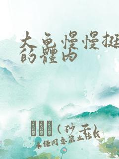 大龟慢慢挺进我的体内