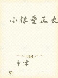 小狼爱正太