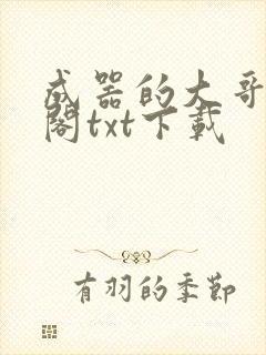 成器的大哥笔趣阁txt下载