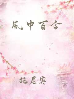 风中百合