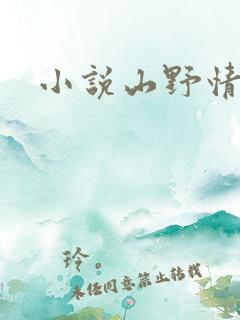 小说山野情债
