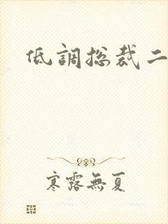 低调总裁二手妻