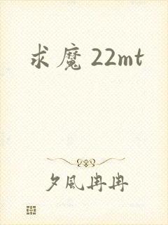 求魔 22mt