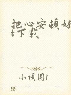 把心安顿好txt下载