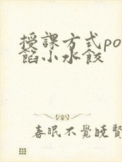 授课方式po肉馅小水饺