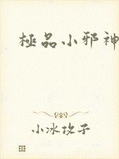 极品小邪神