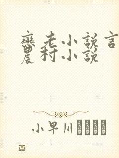 恋老小说言情网农村小说