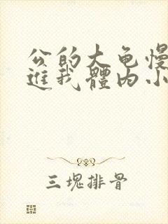 公的大龟慢慢挺进我体内小说