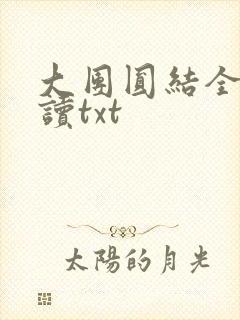 大团圆结全文阅读txt