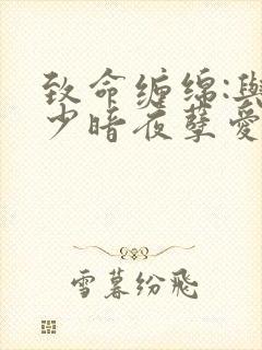 致命缠绵:与冷少暗夜孽爱