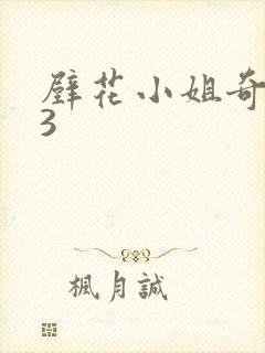 壁花小姐奇遇记3