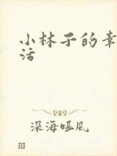 小林子的幸福生活