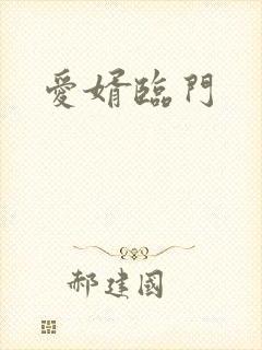 爱婿临门