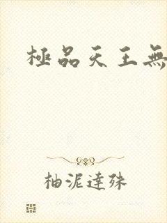 极品天王无弹窗