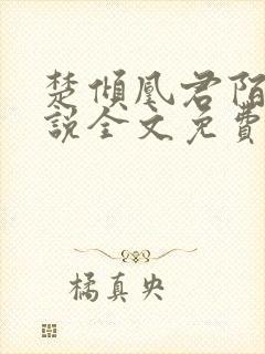 楚倾凰君陌尘小说全文免费阅读