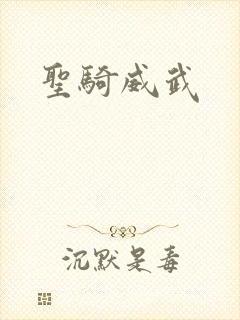 圣骑威武