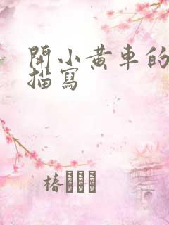 开小黄车的细腻描写