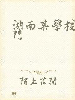 湖南某学校秋千门