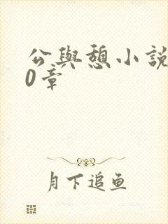 公与憩小说400章