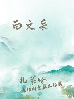 白文采