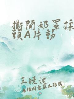 撕开奶罩揉吮奶头A片动