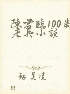 陈君临100岁老兵小说