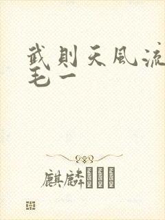 武则天风流艳情毛一